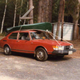 Not our car, but very similar . . . imagine the paint more faded.